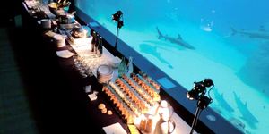 aquarium-de-lyon-restaurant-4