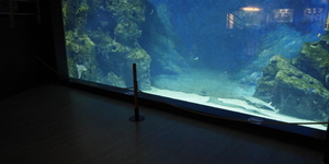 aquarium-de-lyon-restaurant-4_1