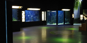 aquarium-de-lyon-salles-reunion-4