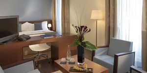 hotel-les-pleiades-fontainebleau-chambre-8